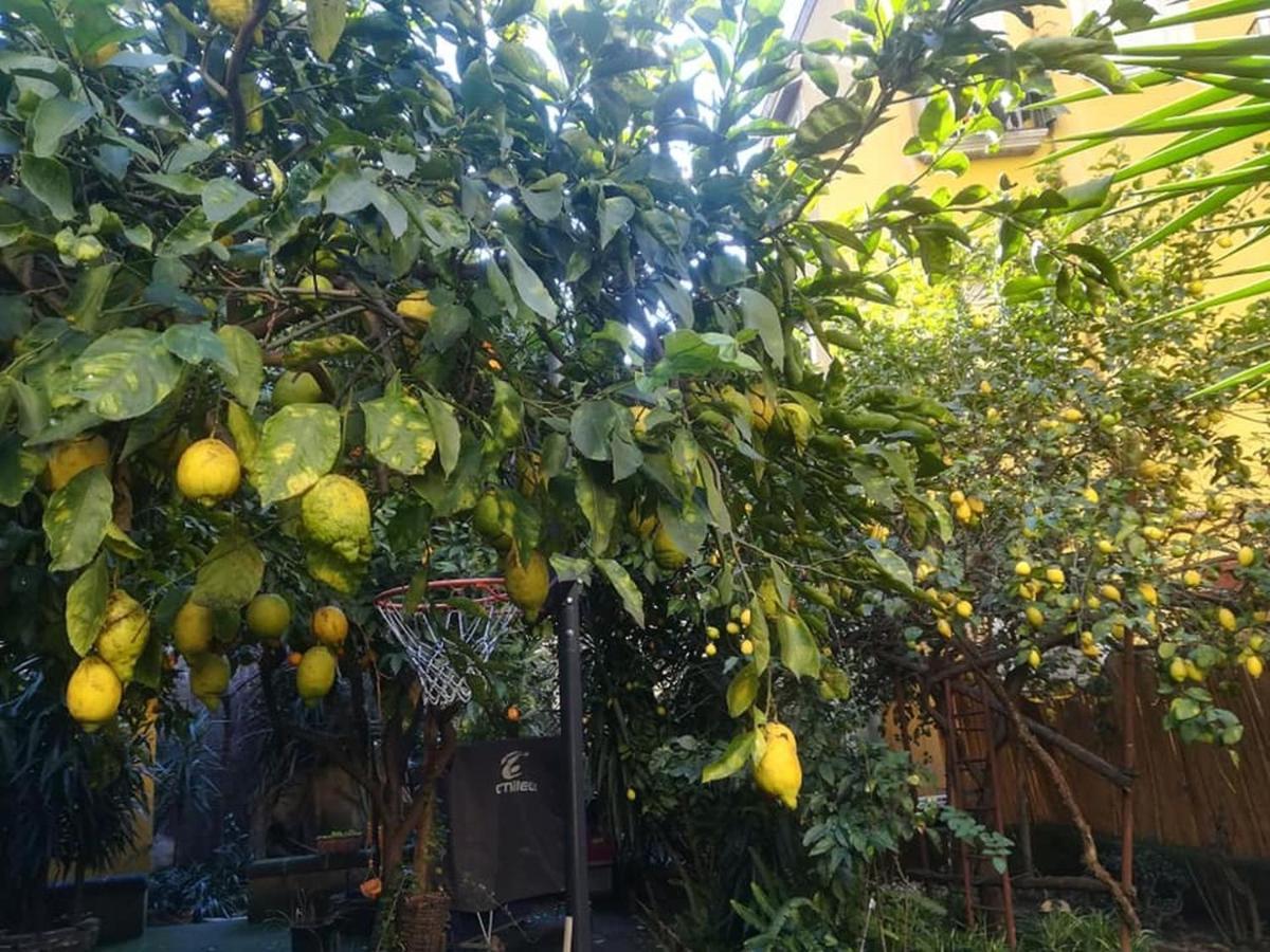 La Limonaia Di Chiaia Apartment Napoli Bagian luar foto