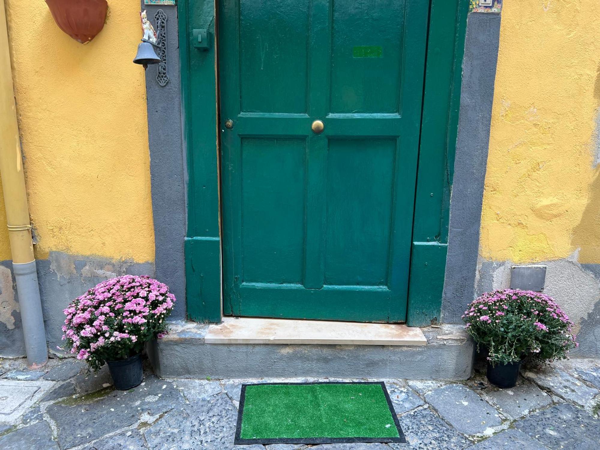 La Limonaia Di Chiaia Apartment Napoli Bagian luar foto