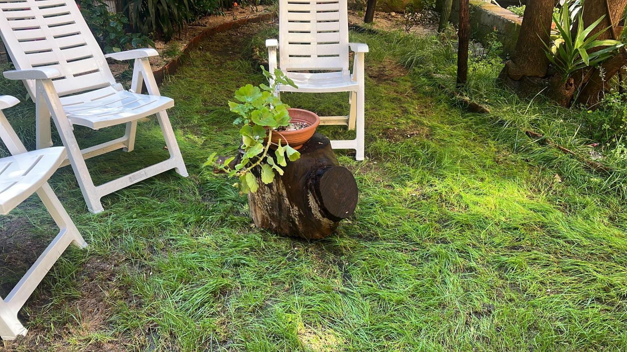 La Limonaia Di Chiaia Apartment Napoli Bagian luar foto