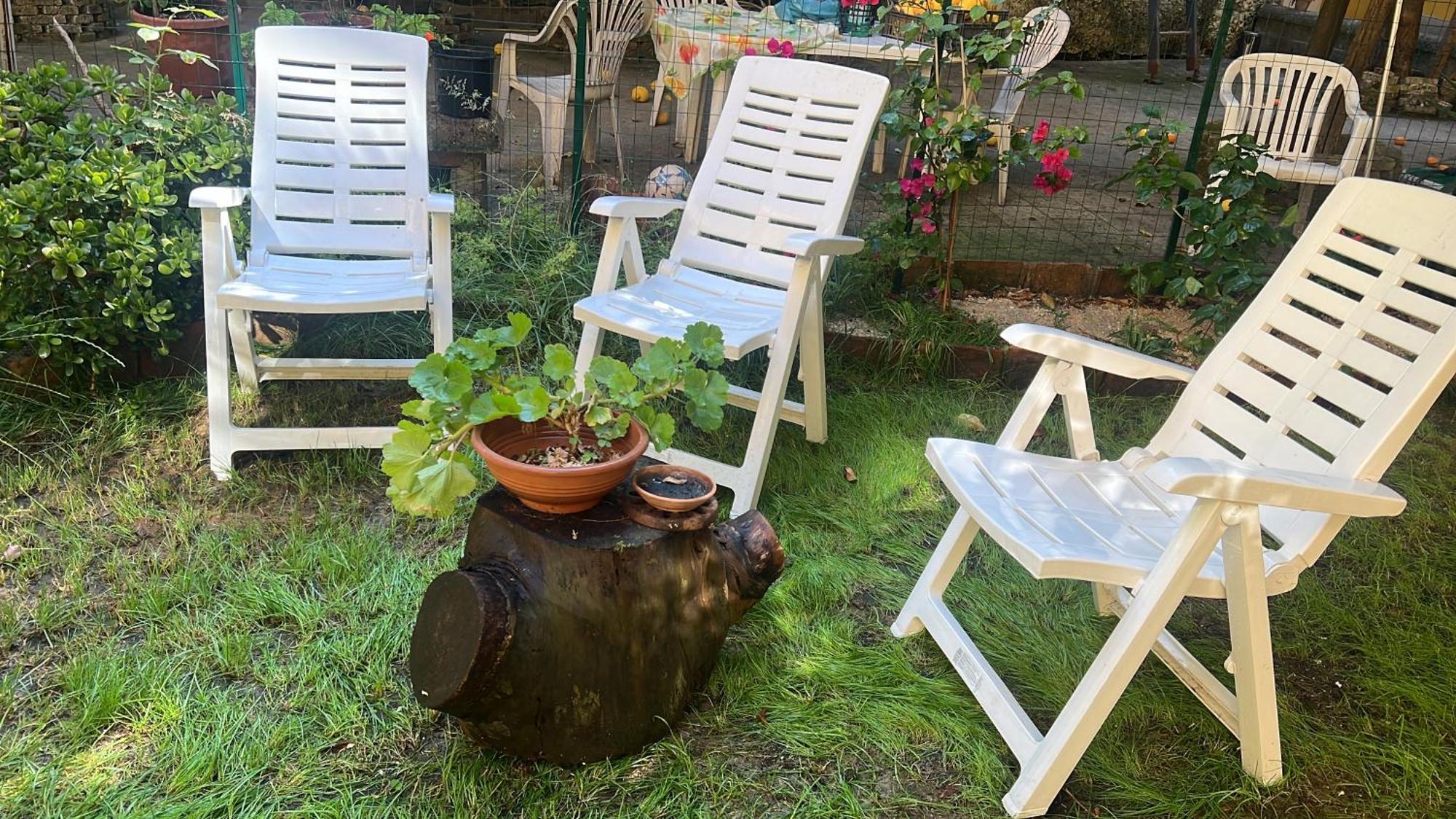 La Limonaia Di Chiaia Apartment Napoli Bagian luar foto